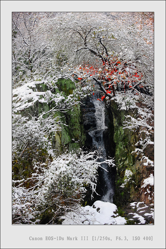 《雪丽幽瀑》 摄影 余姚彤影