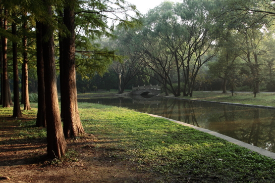 静谧的早晨 摄影 huangde0069