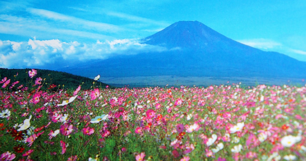 富士山 摄影 沁之蕊