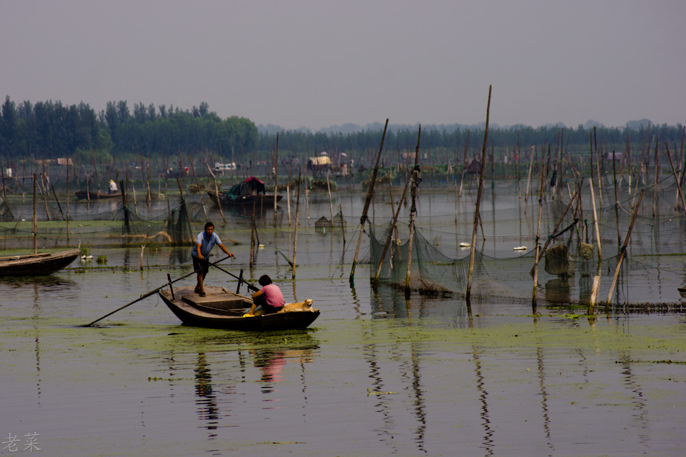 养殖场 摄影 自然而然2010