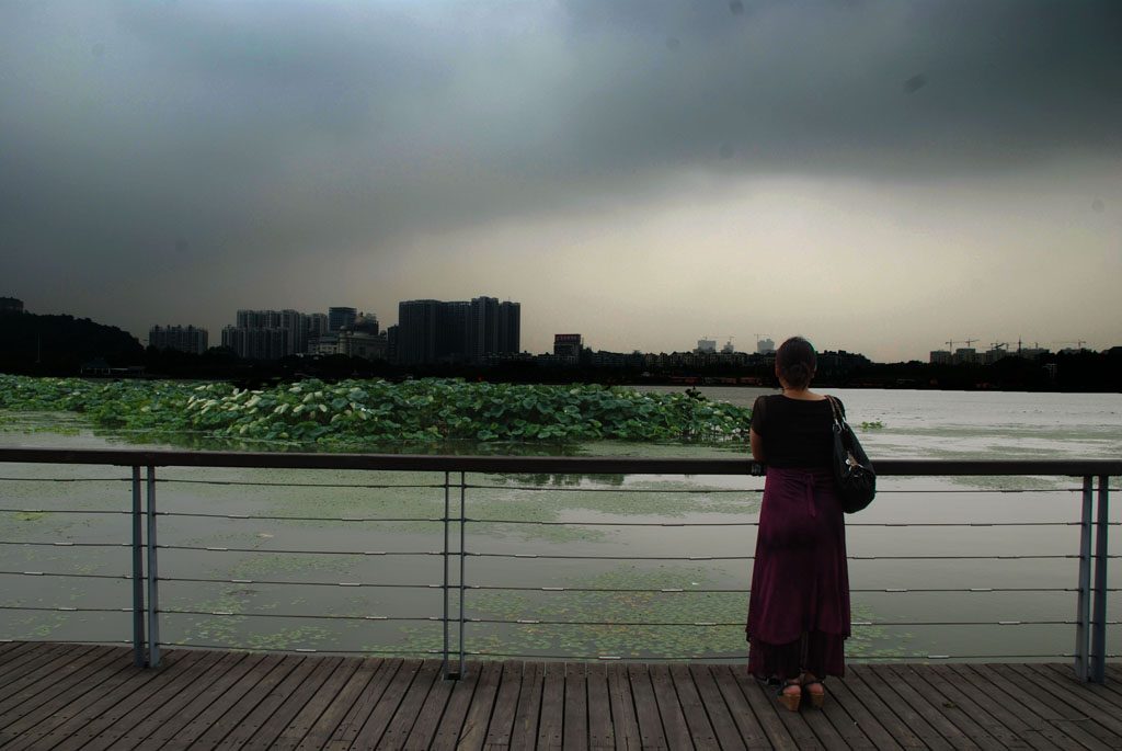 静静的湖 摄影 雨中百合