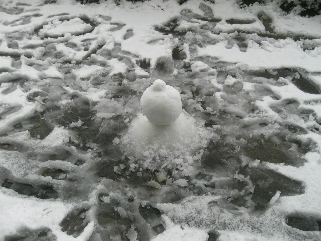 雪の子 摄影 卡其色