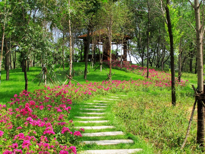 花路 摄影 池月