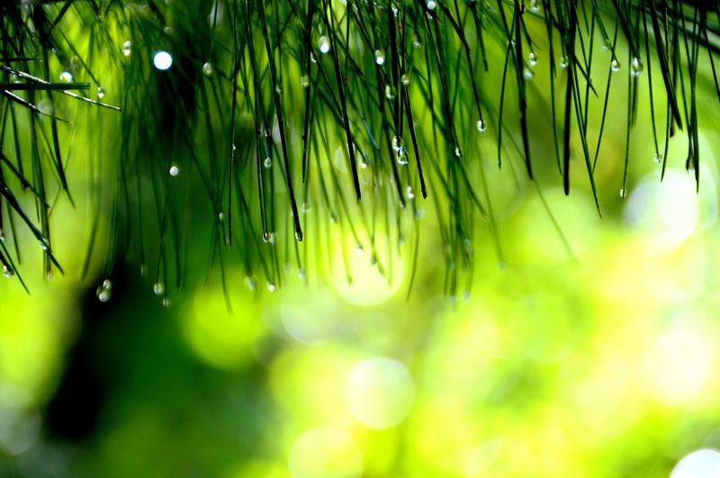 雨后 摄影 风筝_k