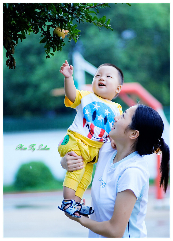 果实 摄影 绿珠儿