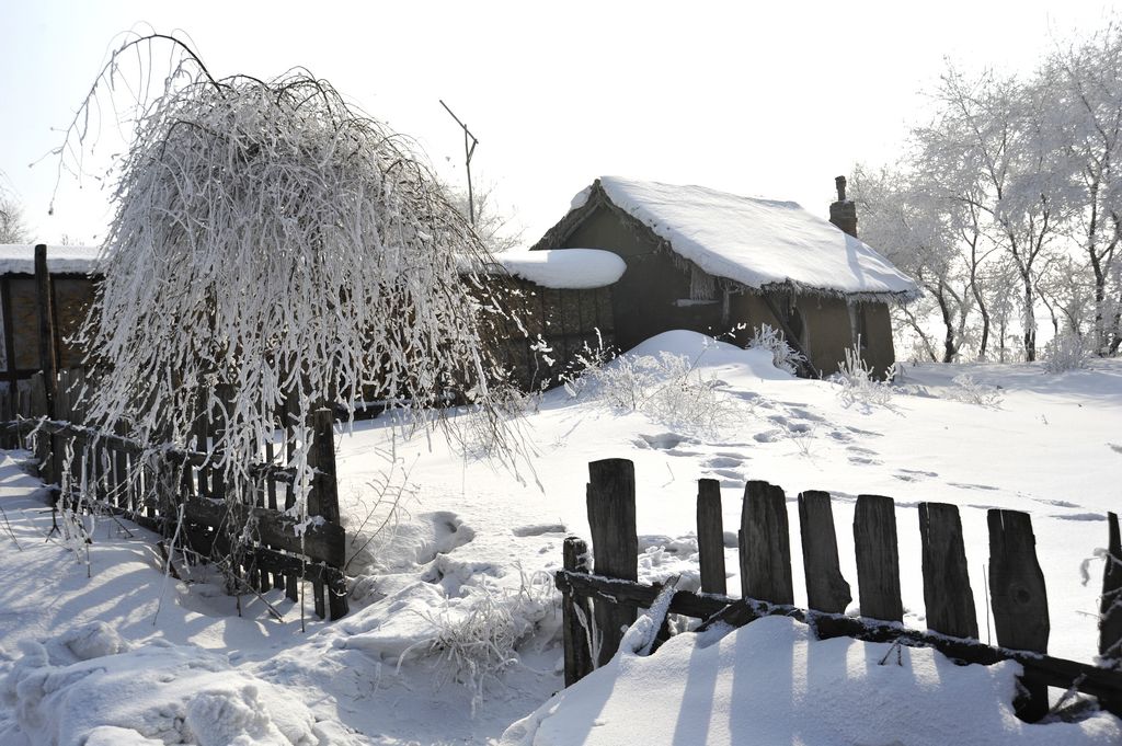 又遇瑞雪 摄影 闻鸡起舞