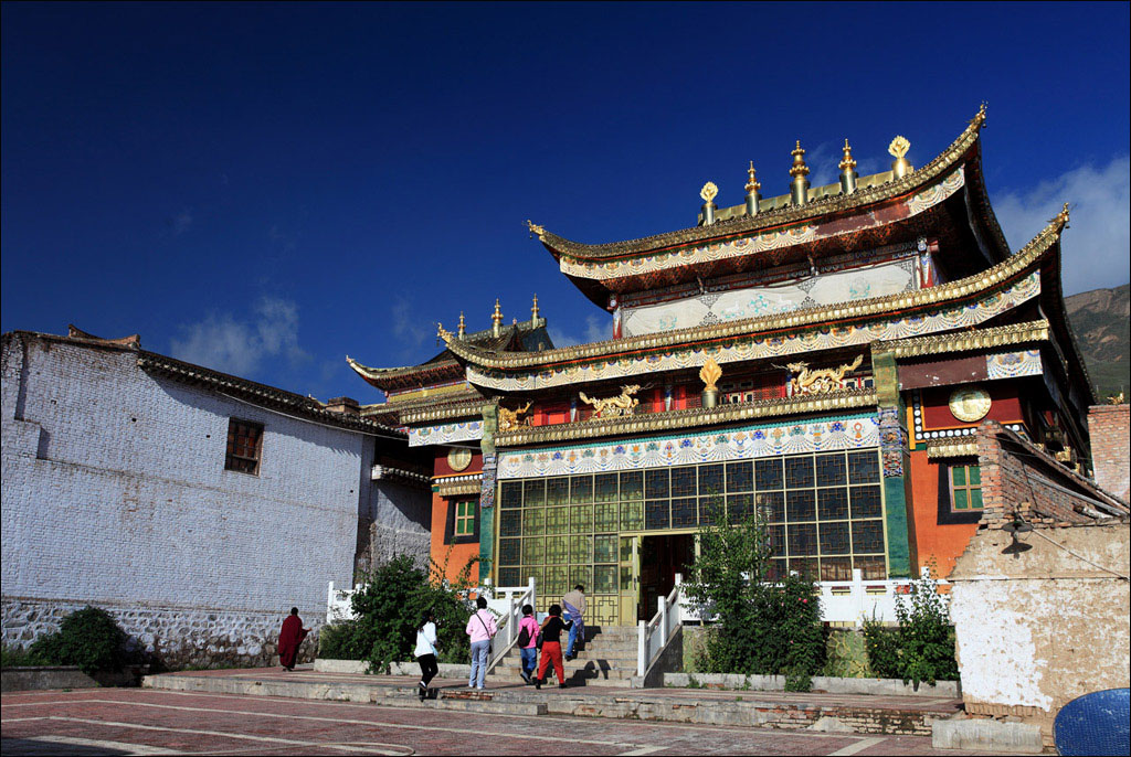 隆务寺 青海 摄影 麦夫