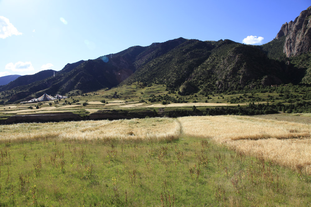 高原秋景 摄影 商山冷月