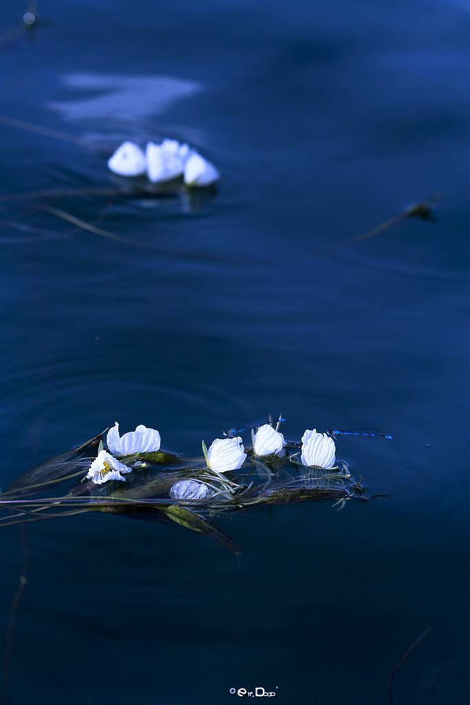 『 浮 』 摄影 独睹