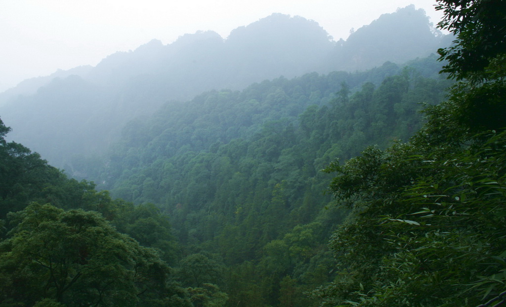 青城山 摄影 一支箭