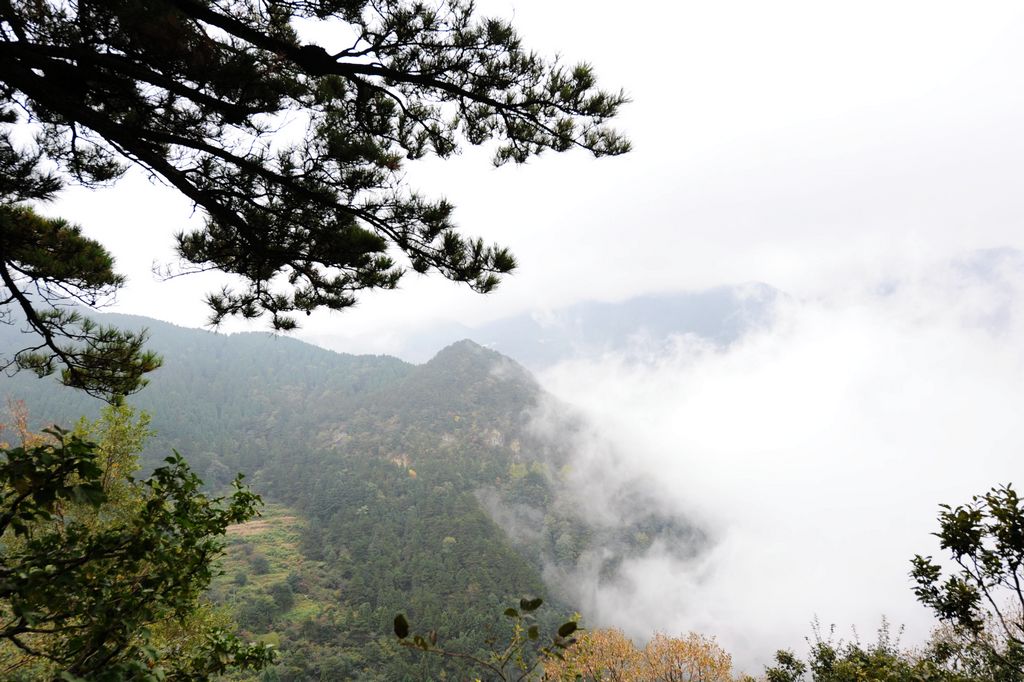 雾中庐山 摄影 秋叶雨荷