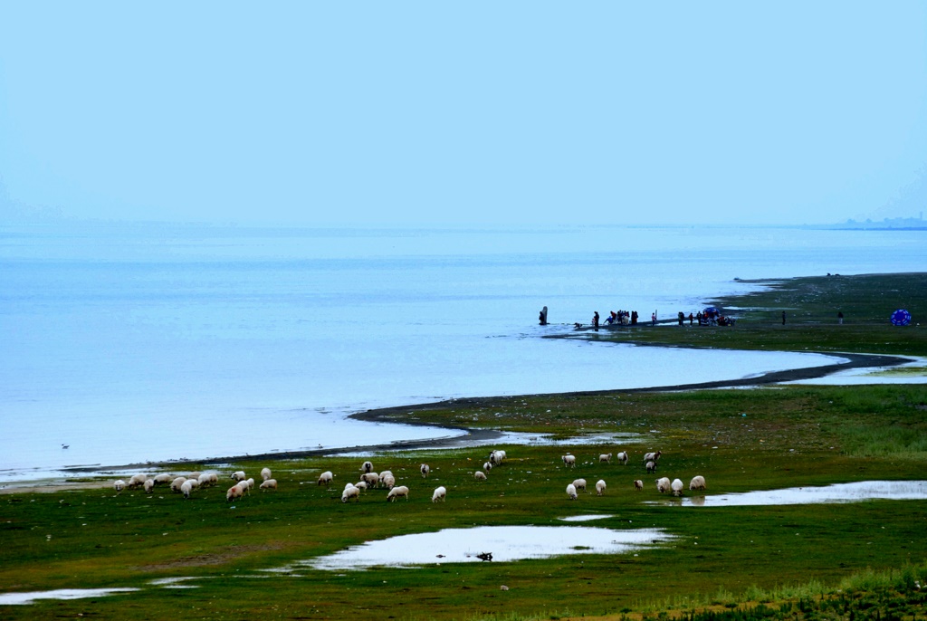 西海----我的海 摄影 彼岸的风景