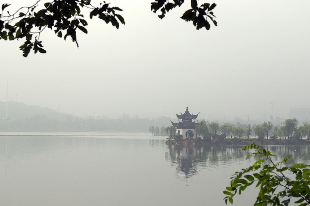 在雨中 摄影 二泉印月