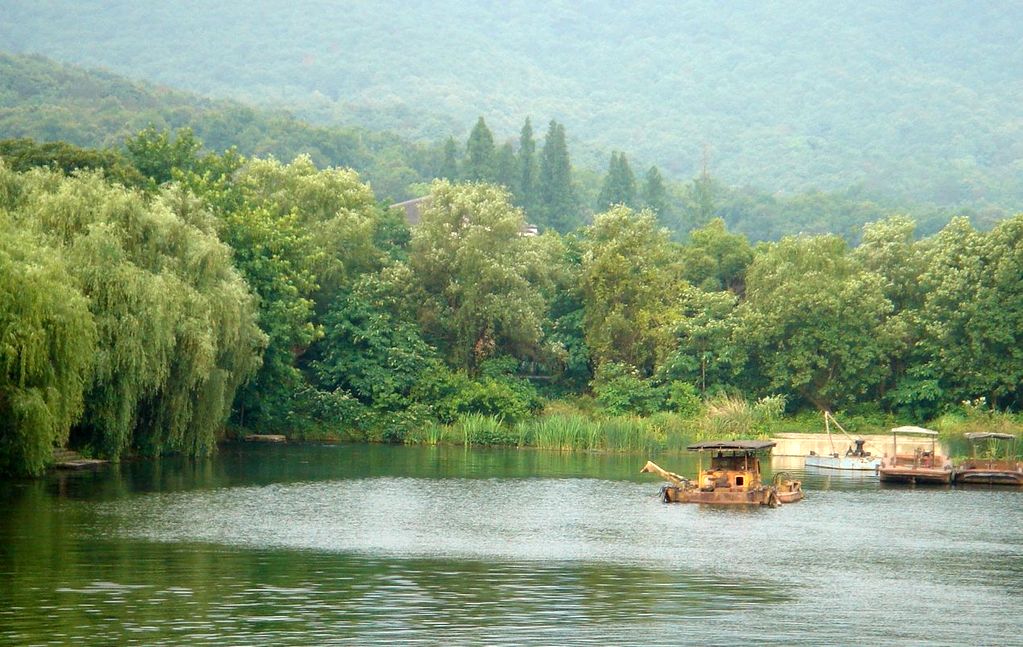 乡村 摄影 维生素A