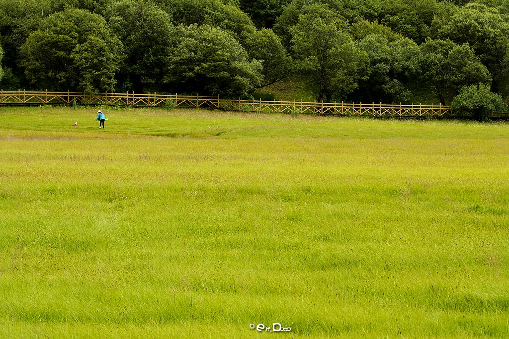 『 疑似在梦里 』 摄影 独睹