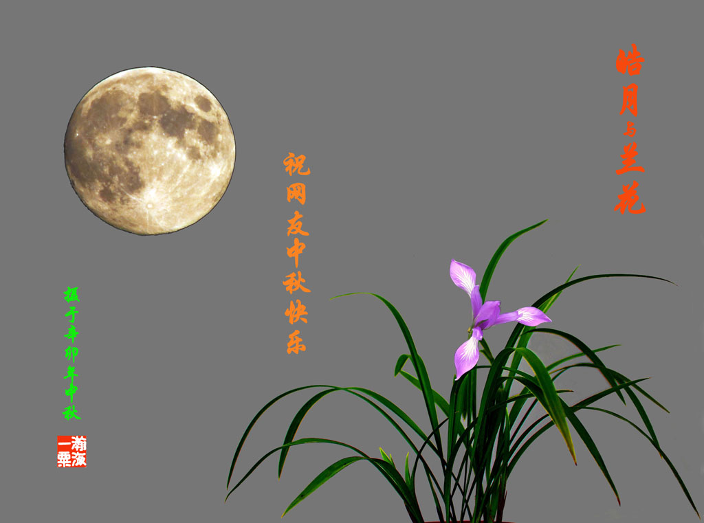 皓月与兰花 摄影 瀚海一粟