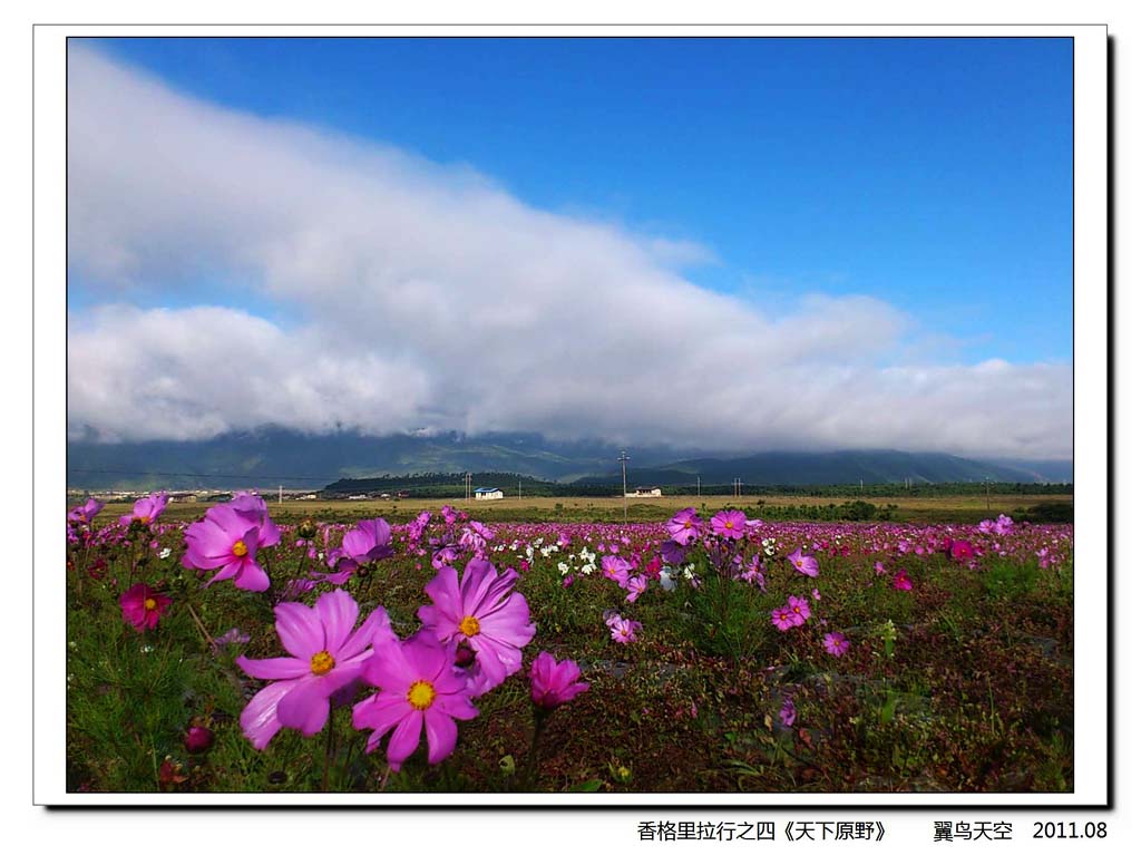 天下原野 摄影 翼鸟天空