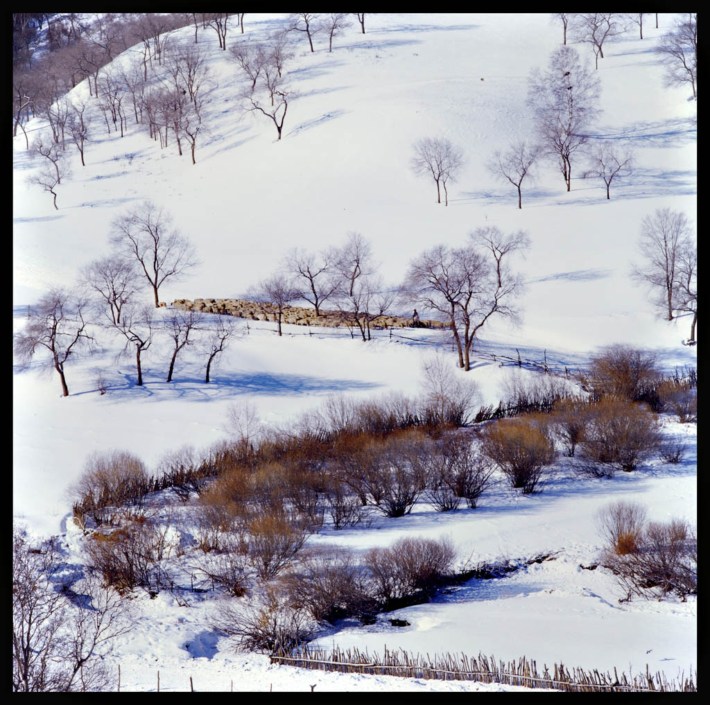 坝上雪景 摄影 江渚之上