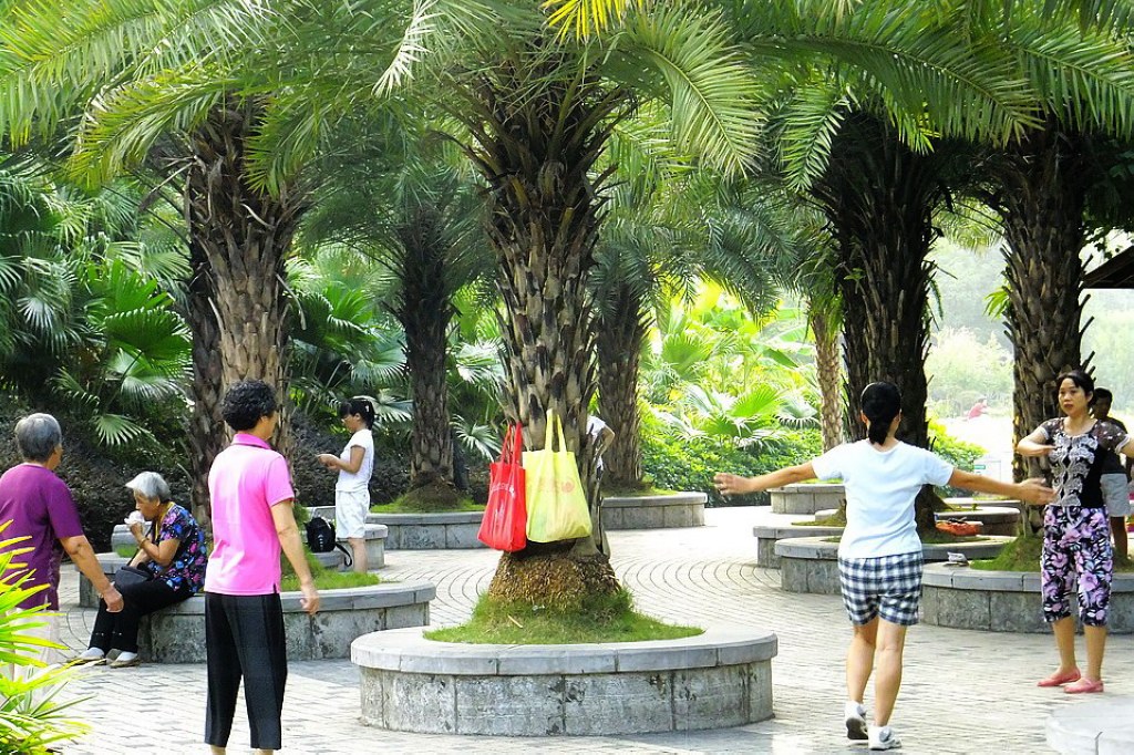 走进植物园(3)(点击看大图) 摄影 漓江甜妹