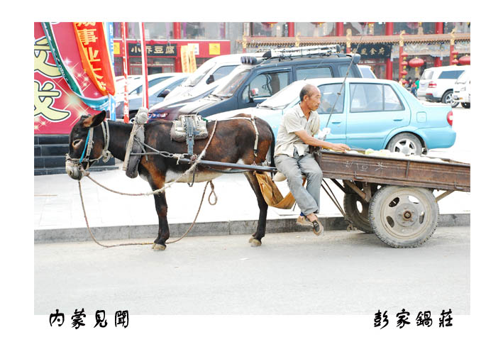 蒙古见闻之我的宝马 摄影 彭家锅庄