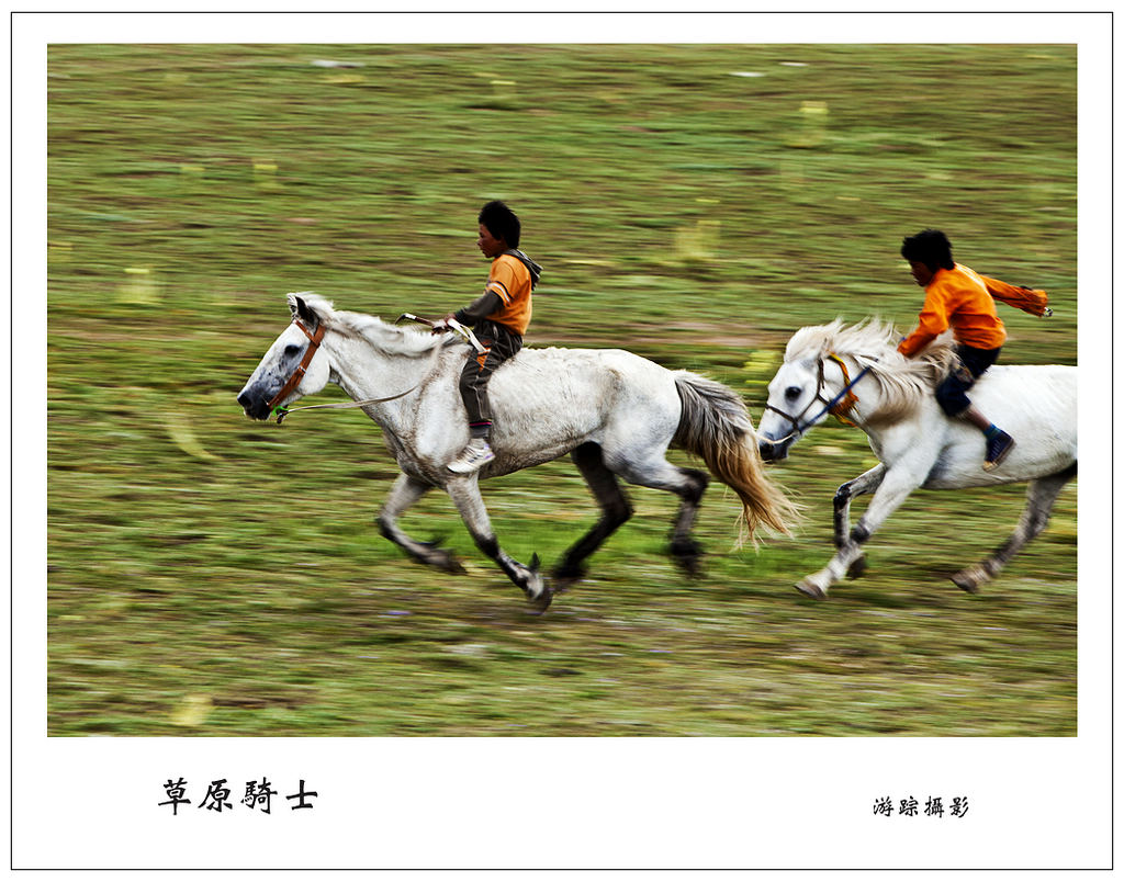 草原骑士 摄影 youzong