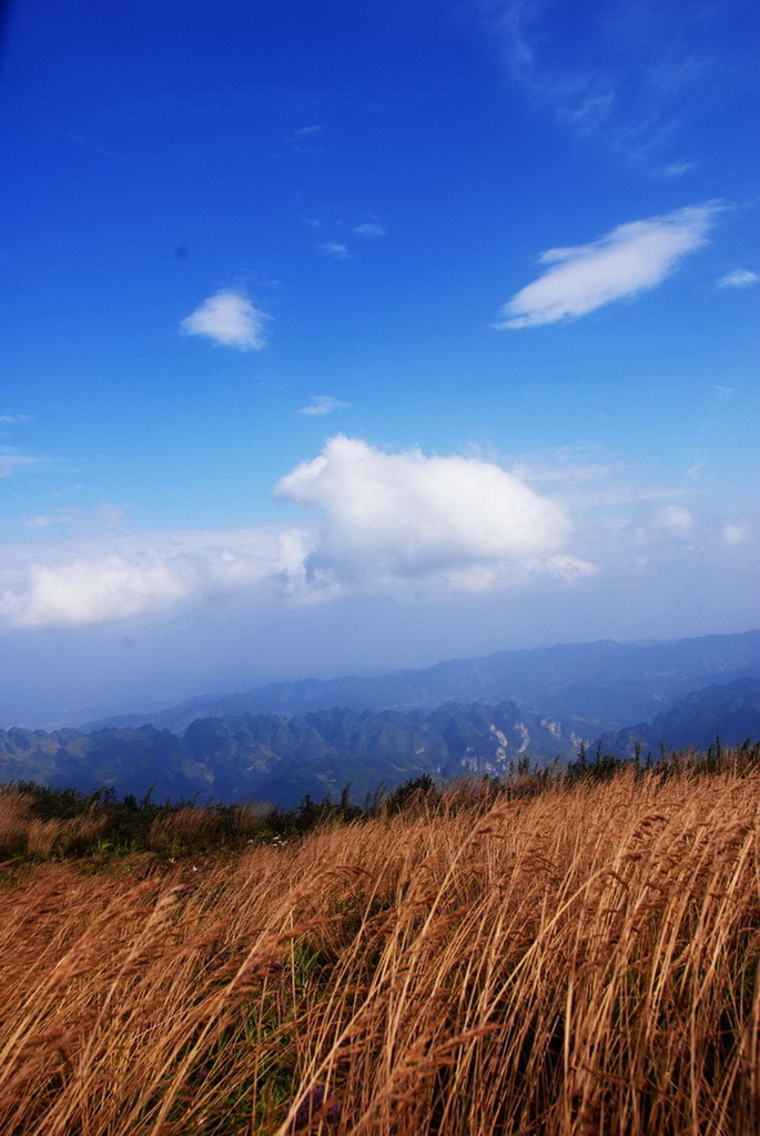 飘移 摄影 火焰海水