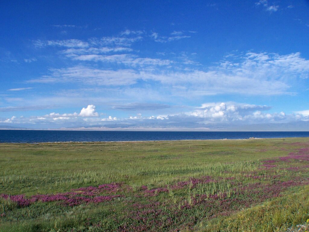 青海湖畔之三 摄影 yangguanga