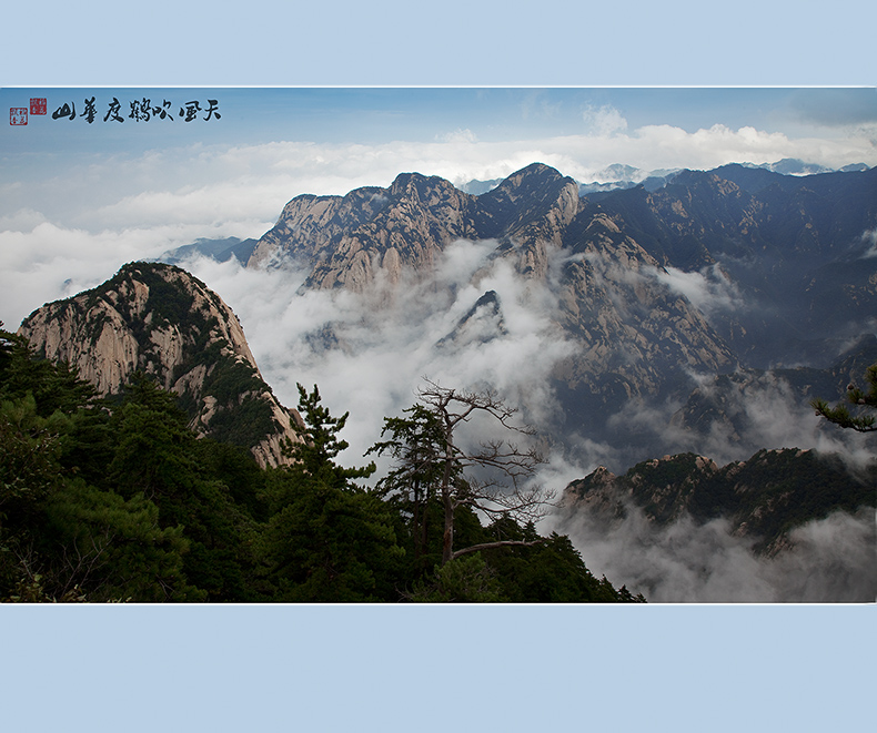 天风吹鹤度华山 摄影 稻花飘香