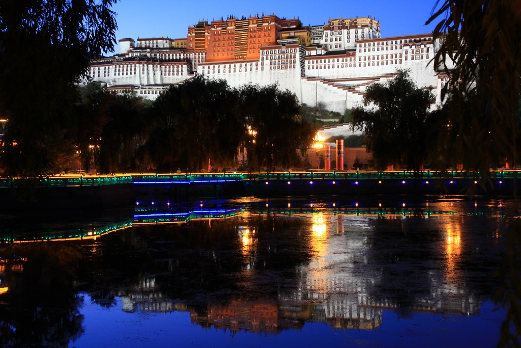 布达拉宫夜景 摄影 风清月朗