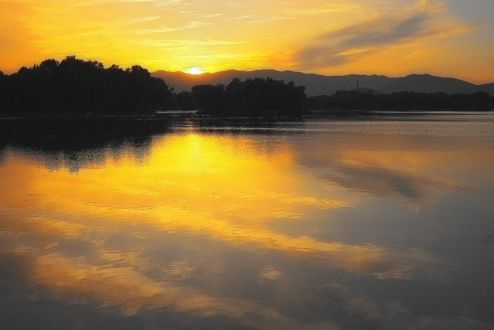 夕阳 摄影 猫海