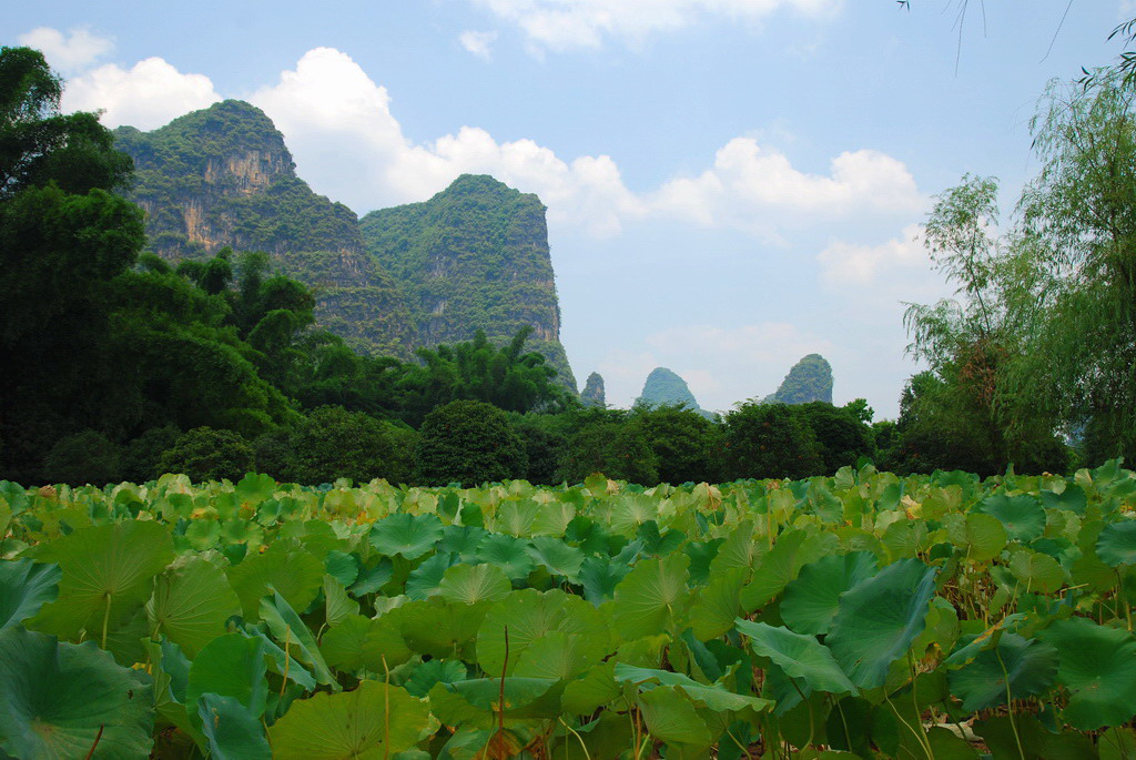 夏日印象 摄影 摄得乐乎