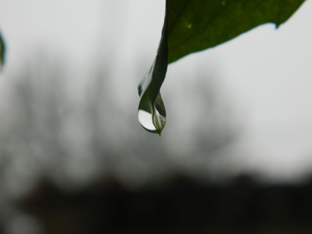 雨露 摄影 风物长宜