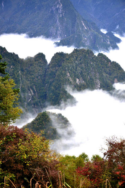 秦岭太白山云海、秋色 摄影 大山51