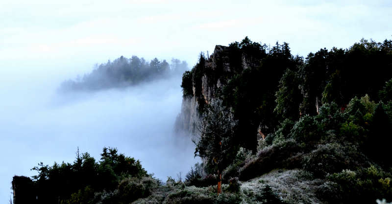 秦岭太白山云海、秋色 摄影 大山51