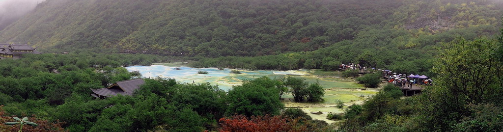 黄龙五彩池全景 摄影 古藤老树