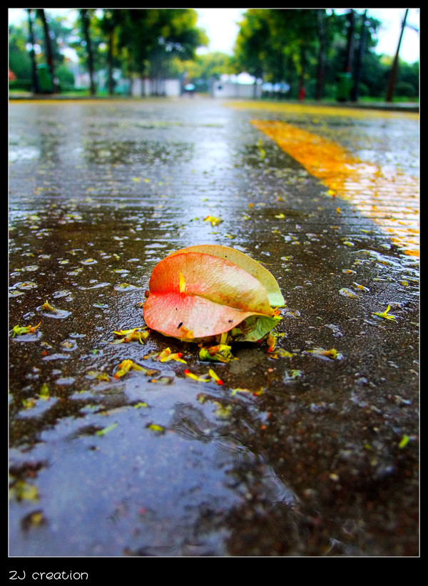 新手上路之雨后校园 摄影 俊灬