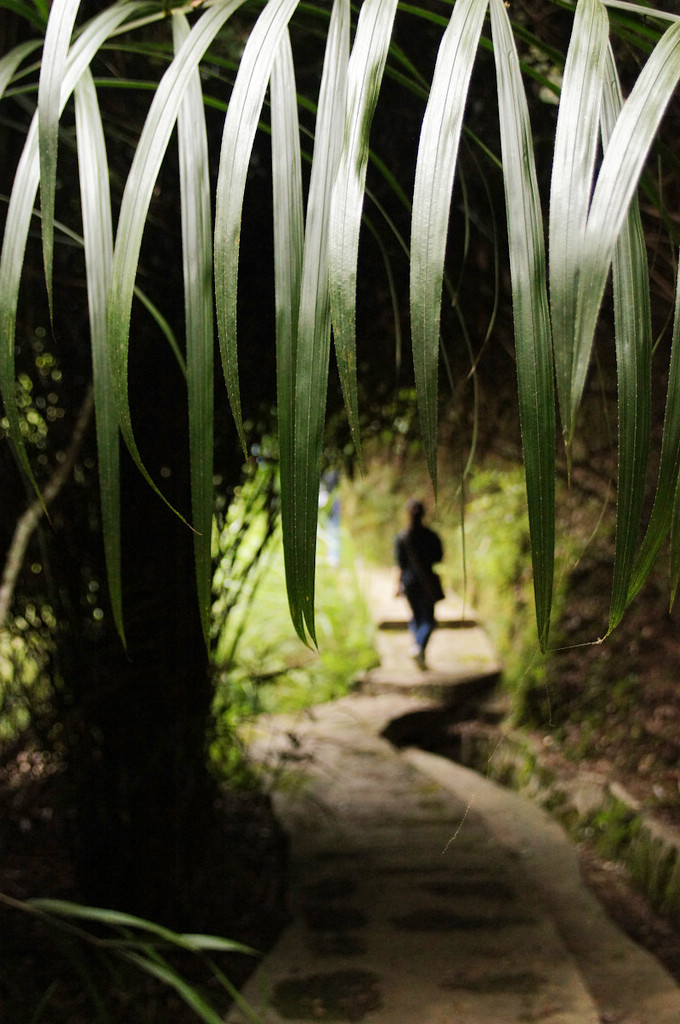 曲径通幽 摄影 纳米眼