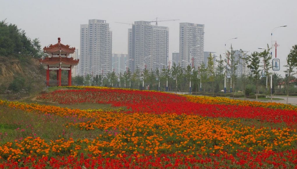 建设中的新城区 摄影 镜头里的小猪