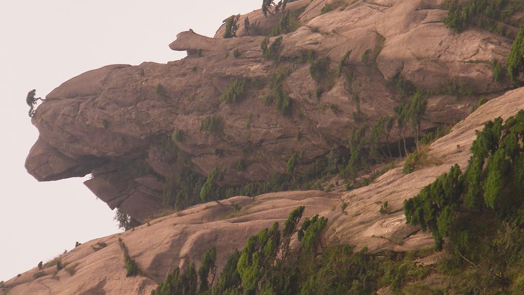 黄山风光9 摄影 刘陆陆