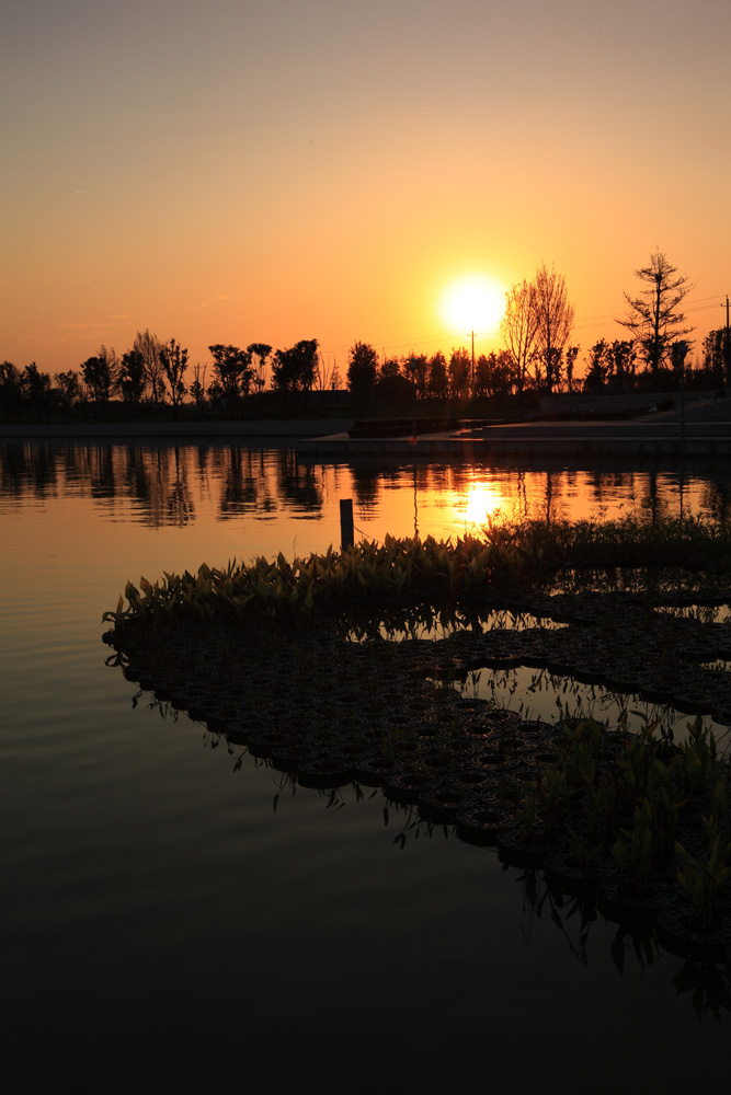 夕照北湖 摄影 风光无限处