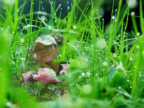 鲜花美女 摄影 夏雪儿