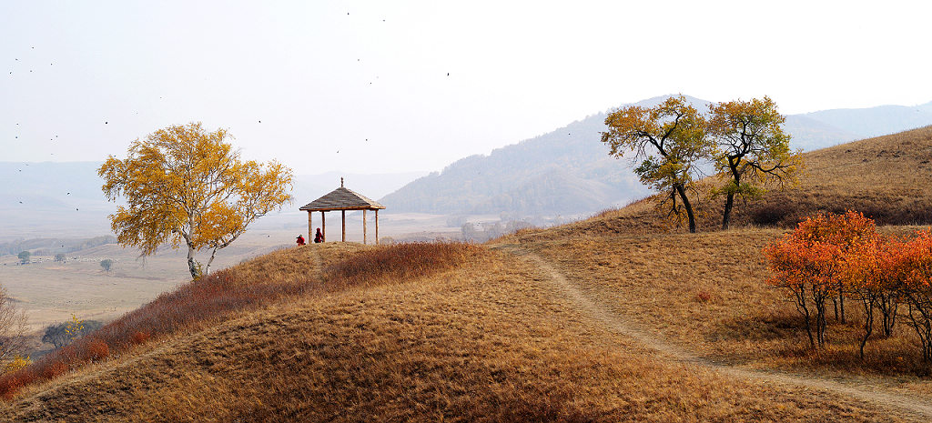 观秋 摄影 本森