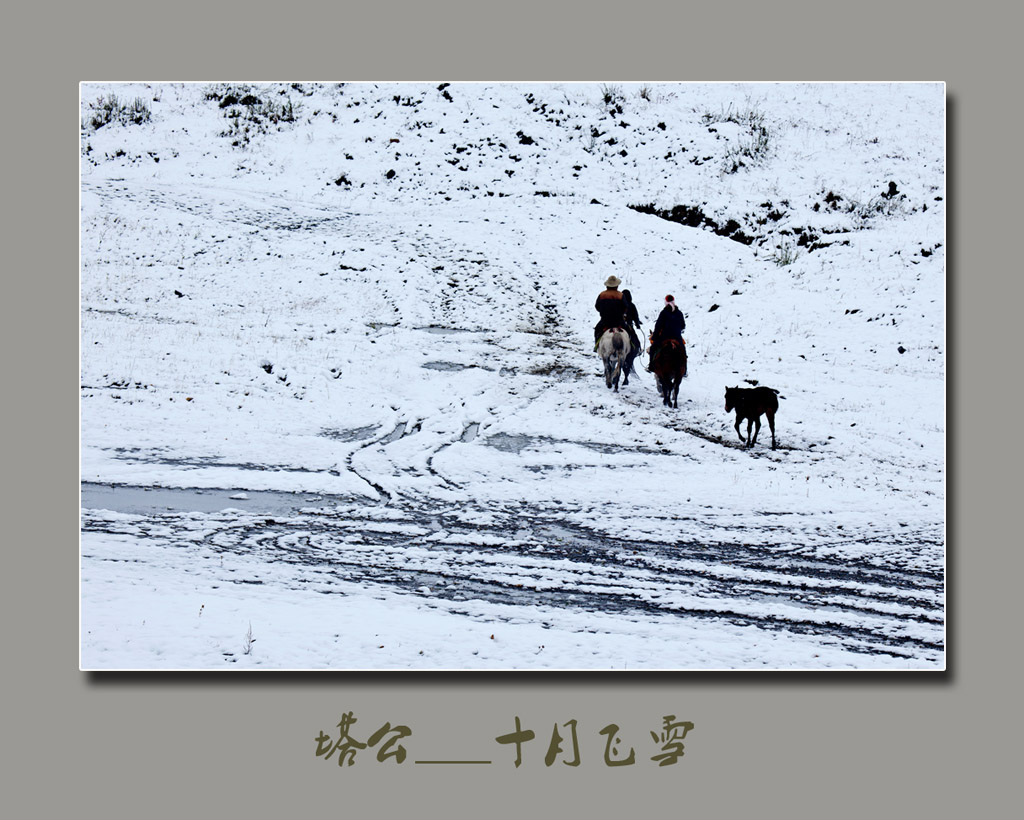 十月飞雪 摄影 地老天荒