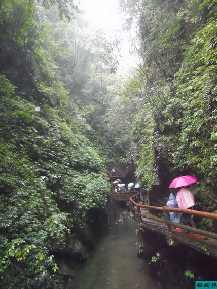 雨中青城后山 摄影 陈家小妹