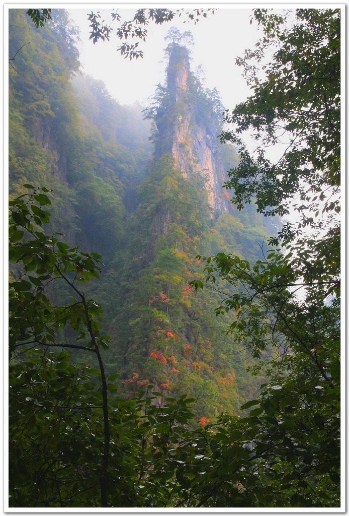 雾锁山峰. 摄影 mx飞毛腿