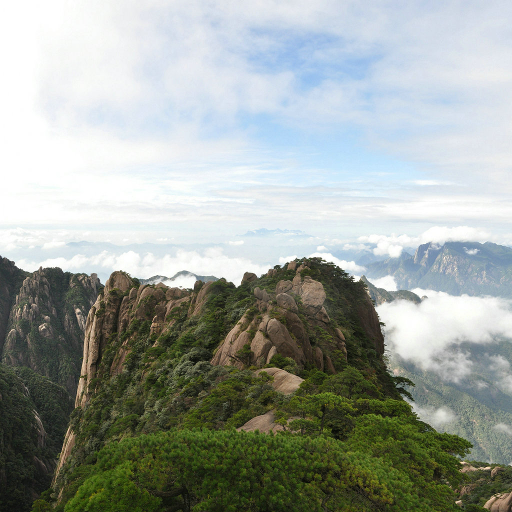 三清山 摄影 夹子树