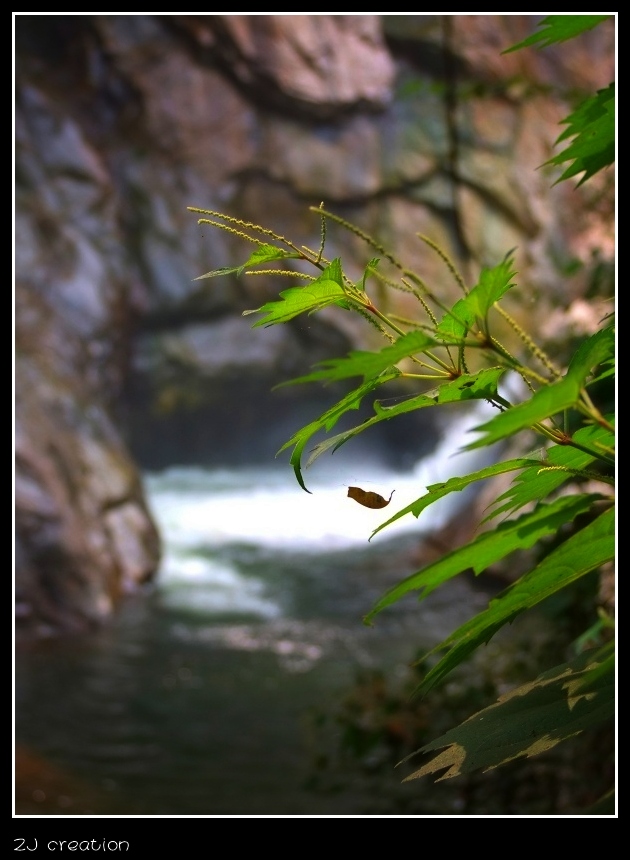 黔南·景 摄影 俊灬