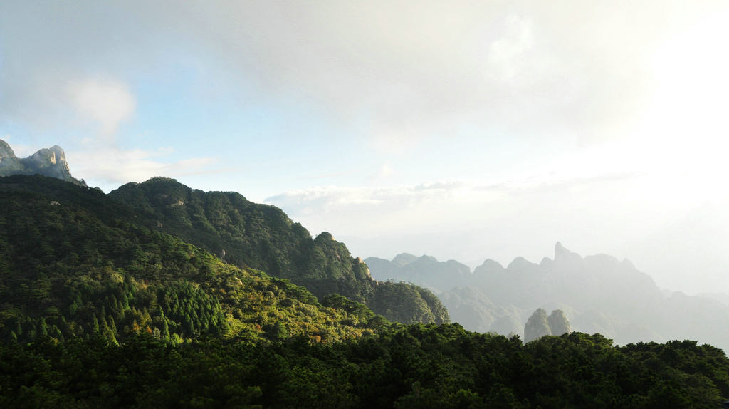 三清山 摄影 夹子树