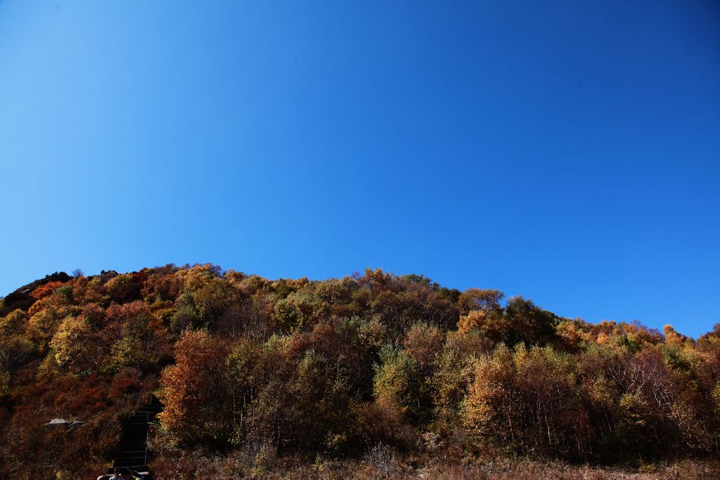 秋韵 摄影 星空仰视