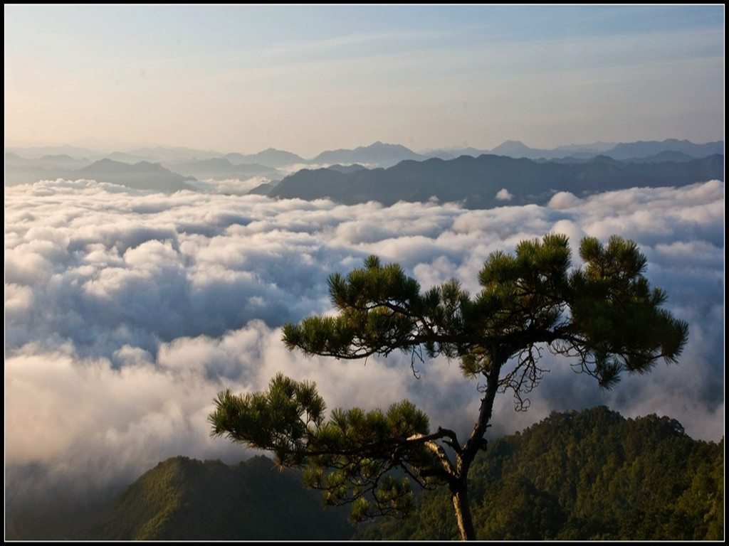 观云海-1 摄影 五月玫瑰